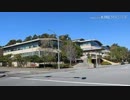 世界最大級動画サイト爆破シリーズ