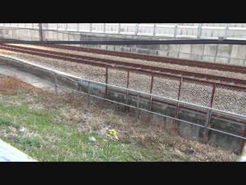チョイと童心に帰って新幹線撮影