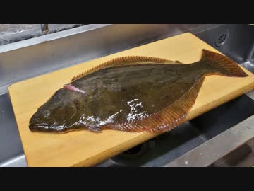 寿司職人によるヒラメの仕込みから握りまで〜How To Make Flatfish Sushi〜