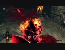 【ダークソウルR】逢い死会う侵入７