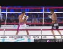【ボクシング】井上尚弥vsジェイミー・マクドネル　WBA世界バンタム級タイトルマッチ