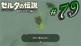 新作ゼルダを風タクしかやったことないうp主がプレイしてしまった part79