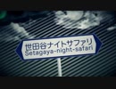 【歌ってみた】世田谷ナイトサファリ / コヤマアキヲ