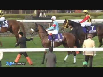 アーモンドアイ伝説を見たか？【競馬界に遂に怪物誕生】ジャパンカップ