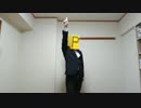 【ミリオン】レゴPヘッド被りながらPrecious Grain踊ってみm@ster