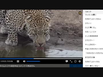 《がおーっ》アフリカ・サバンナ野生動物ツアー 生中継【11月12日 朝＆夕】