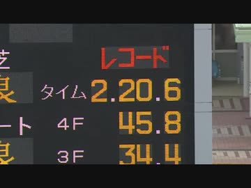 2018年 第38回ジャパンカップ（GⅠ）アーモンドアイ【パドック～インタビュー】