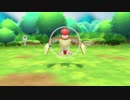 ポケットモンスター Let's Go! イーブイ Pokémon Let’s Go, Eevee! 043
