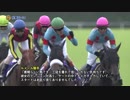 アーモンドアイ 新馬戦～ジャパンC 全レース