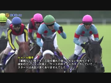アーモンドアイ 新馬戦～ジャパンC 全レース