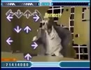 Charles _The DDR King_ Manson