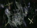 MarBell    「Miss All Birthday」【PV】