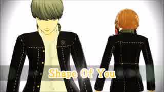 【MMDペルソナ】相棒ズでShape Of You【MMDP4】