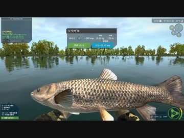 【UFS】ソウギョ / 21.59kg