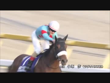 2018年ジャパンカップ 民放7局実況比較＋英語版実況