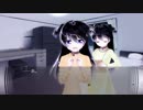 三十路手前のお兄さんがロリコンになるまで・・・【十七日目】「最悪なる災厄人間に捧ぐ」