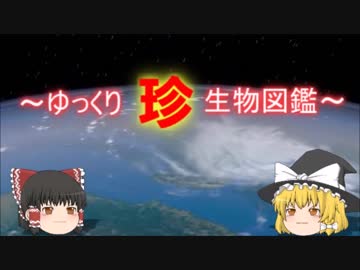 ～ゆっくり　珍　生物図鑑～　新・72回
