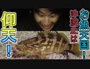 【広島爆釣伝説】仰天!!真夏の沖波止には夢がある=02