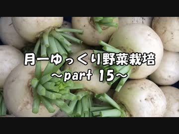 月一 ゆっくり野菜栽培 Part15