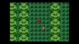 ポケモンを溺愛する男のポケットモンスターFR初見実況　三匹目