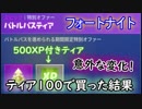 【フォートナイトバトルロイヤル】500XP付きティア"ティア100で買った結果"【Fortnite】