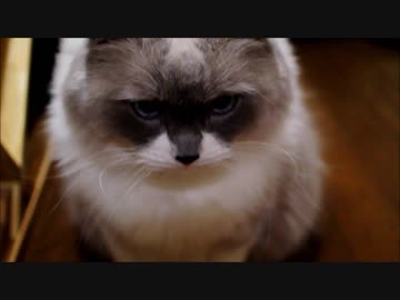 当然やってみたいよね