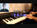 【ピアノ】財津 和夫　「青春の影」弾いてみました。