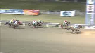 2018年11月27日川崎競馬10R ノベンバースター賞(JRA500万下・B2B3) ナムラシンウチ