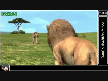 【RTA】AFRIKA 6:18:09 （9/11）