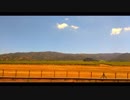 Footage of Green Fields During Daylight　＠　和田勝海