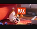 『ペット2（原題：THE SECRET LIFE OF PETS 2）』予告編：日本語字幕