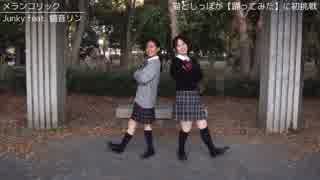 【猫としっぽ】が『メランコリック』を踊りました【駒音こはる・テール】【初投稿】