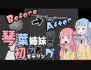 琴葉姉妹の初心者モデリング：後編