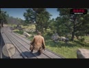【にわかが無法者！】Red Dead Redemption2実況　Part4-4