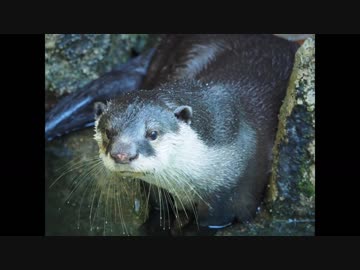 秋休みなので高知ツーリング　五日目の1-旅先動物園-