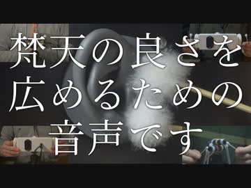 【ASMR】じらしの梵天とゾクゾクくる耳かきたち【音フェチ】