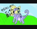 氷ポケモン使いが”てっぺん”目指す！チョッキアマルルガ