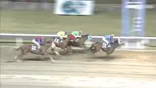 2018年11月28日川崎競馬9R 川崎若駒オープン（全日本２歳優駿ＴＲ） アギト