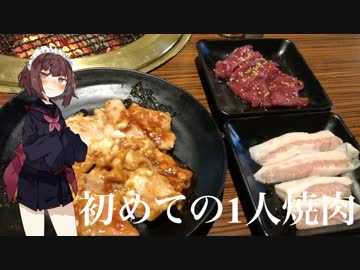 初めての1人焼肉