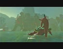 【初実況：ゼルダの伝説ブレス オブ ザ ワイルド】見ないと呪われます_part１６