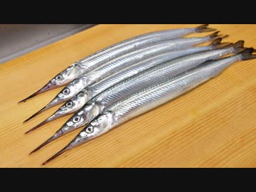 寿司職人によるサヨリの仕込みから握りまで〜How To Make Halfbeak Sushi〜