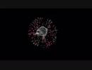 2018.11.23 長野えびす講　1.第27回全国十号玉 新作花火コンテスト