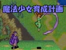 【実況】名軍師を目指して・・・【FE 封印の剣】46戦目