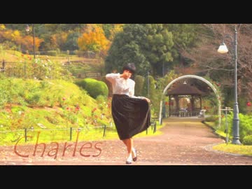 【うさ犬】 シャルル 踊ってみた