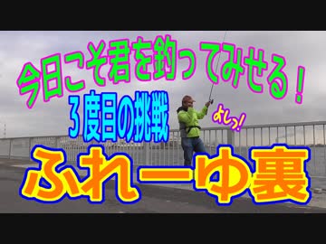 釣り動画ロマンを求めて 211釣目（ふれーゆ裏）
