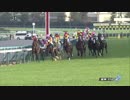 2018年　第69回 チャレンジC（GⅢ）【エアウィンザー】