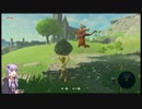 「投げる」ゼルダの伝説ブレスオブザワイルド