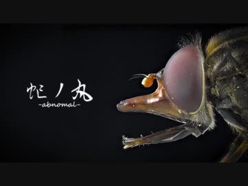 【ニコラップ】虻ノ丸【れーてん】