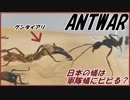 世界最恐のグンタイアリを日本アリのエサ場に入れたらさすがにビビる？