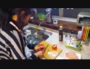 ホモと見るドーモリス・D・エース外務大臣 タイカレーうどんを作るも国交断絶の危機♪